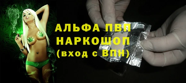 прущий лед Абаза