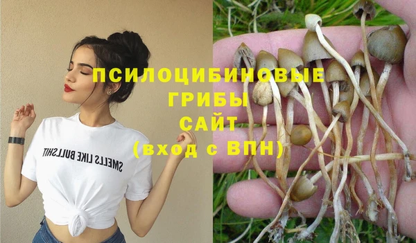 спайс Алзамай