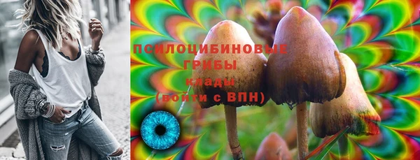прущий лед Абаза